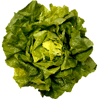 Produit